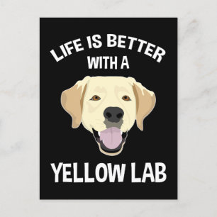 Postal La Vida Es Mejor Con Un Laboratorio Amarillo