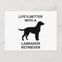 La vida es mejor con un Labrador