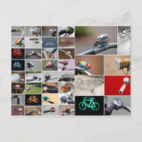 ¡La vida es un hermoso viaje en bicicleta!