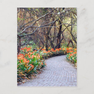 Postal La vida es un viaje