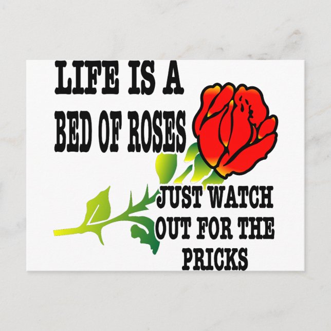 Postal La Vida Es Una Cama De Rosas Cuidado Con Los Picos (Anverso)