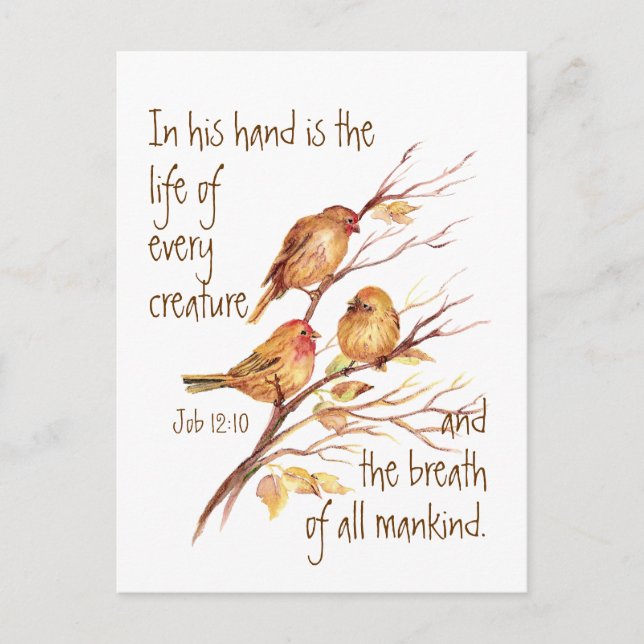 Postal La vida inspiradora de cada cita de la creatura (Anverso)