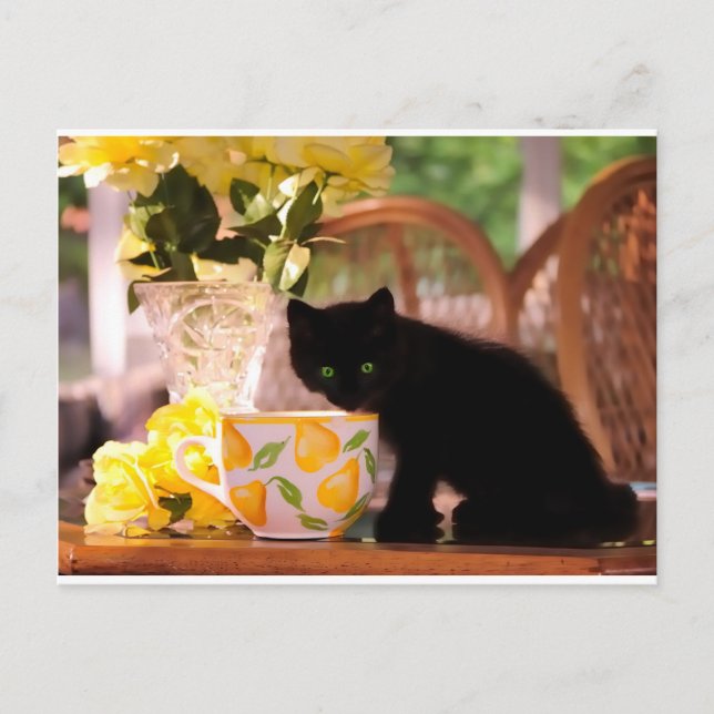 Postal La vida muerta de gatitos con ojos verdes (Anverso)