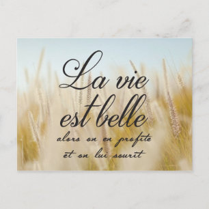 Postal La vie est belle