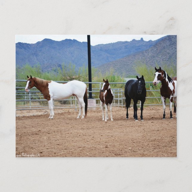 Postal La vista (Anverso)