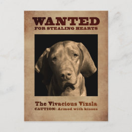 Postal La Vizsla Viva