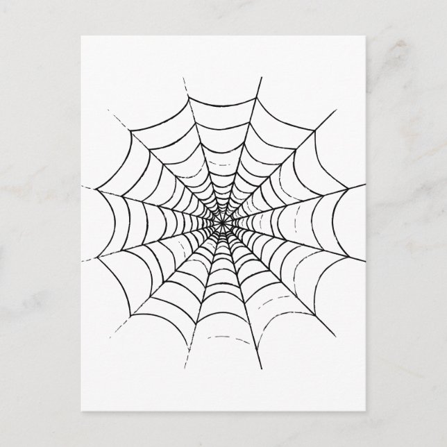 Postal La web de una araña simple (Anverso)