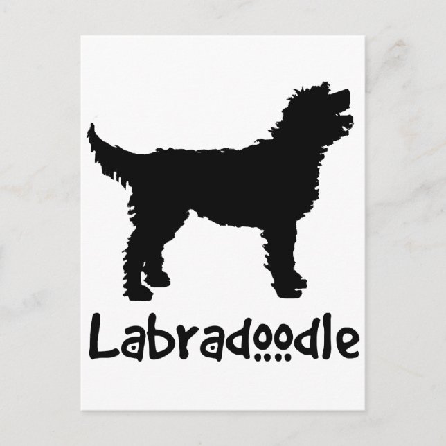 Postal Labradoodle con Guay Textos (Anverso)