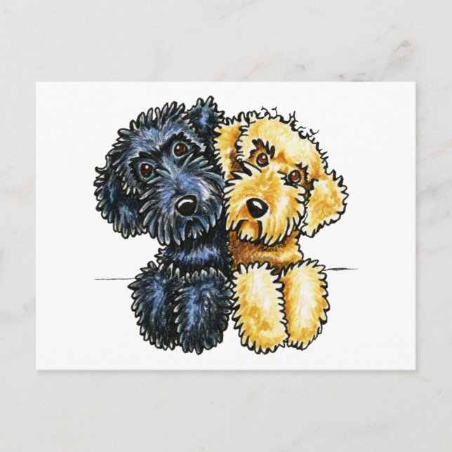 Postal Labradoodles Amarillo negro alineado (Anverso)
