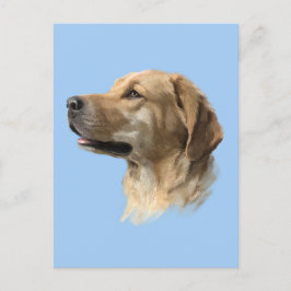 Postal Labrador