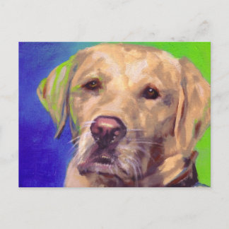 Postal Labrador amarillo recuperador
