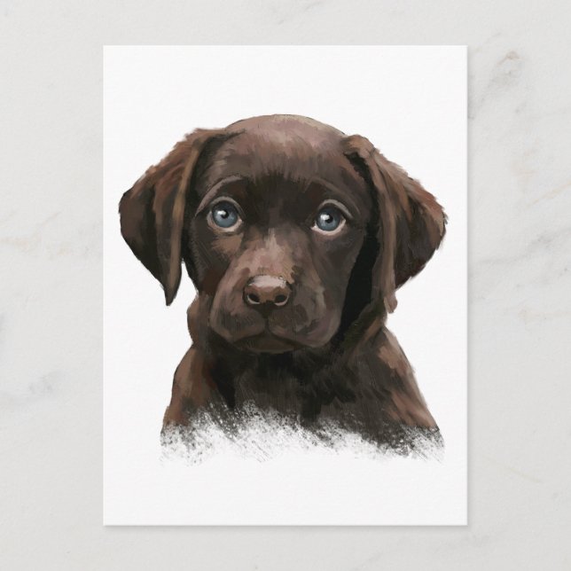 Postal Labrador Chocolate (Anverso)