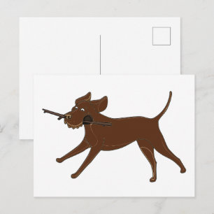 Postal Labrador chocolate zurdo con palo