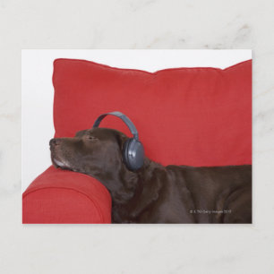 Postal Labrador con auriculares tendidos en el sofá