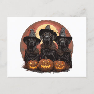 Postal Labrador de Halloween perro Gorras de brujas