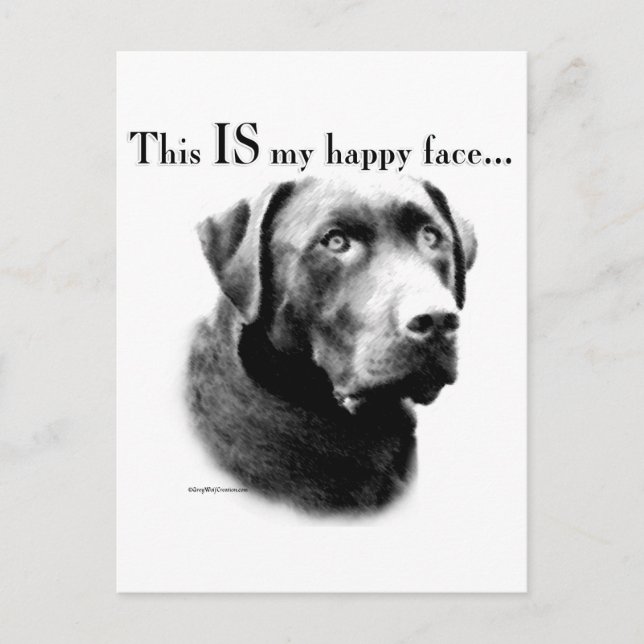 Postal Labrador feliz cara (Anverso)