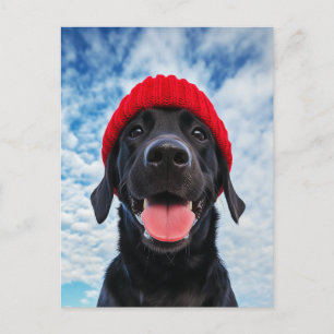Postal Labrador feliz en una Beanie Roja bajo un cielo az
