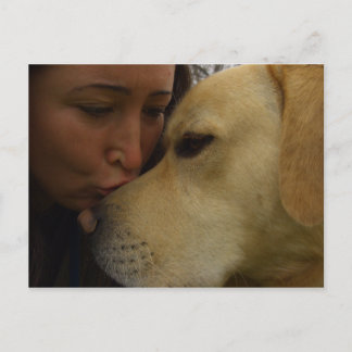 Postal Labrador Love