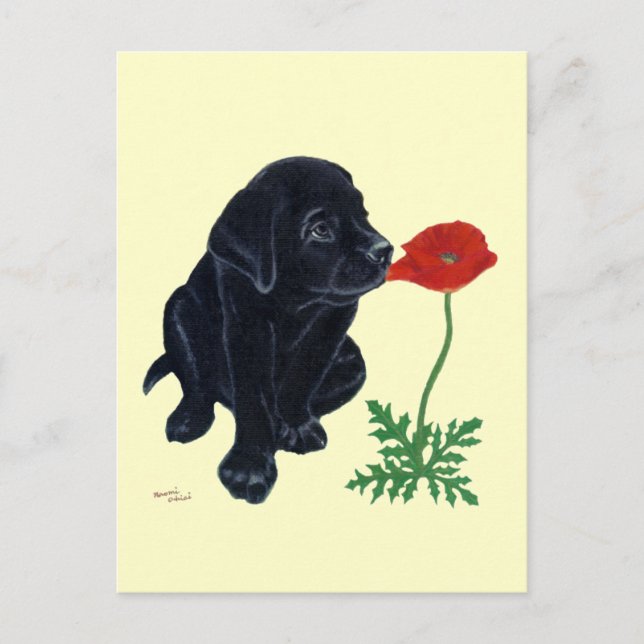 Postal Labrador negro (Anverso)