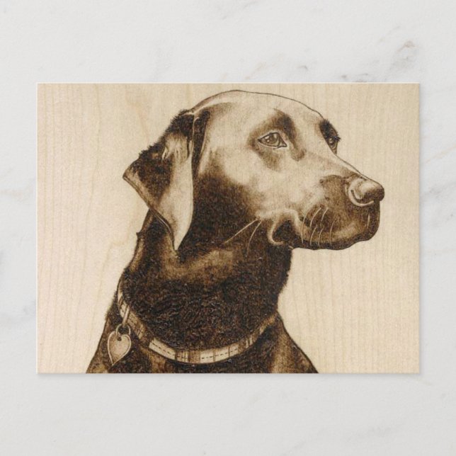 Postal Labrador negro (Anverso)
