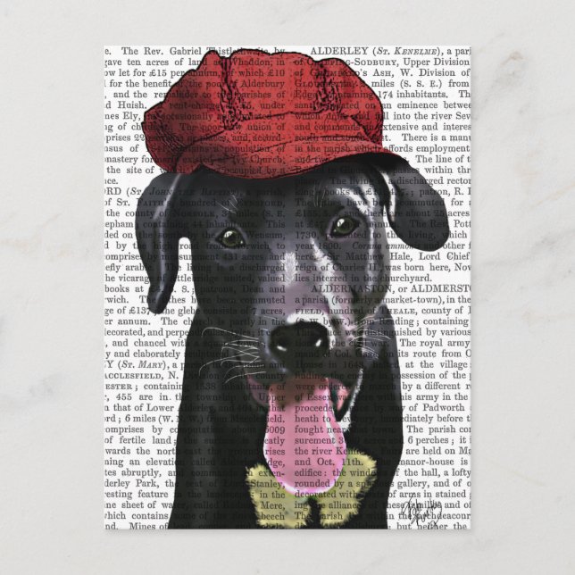 Postal Labrador negro con capucha roja (Anverso)