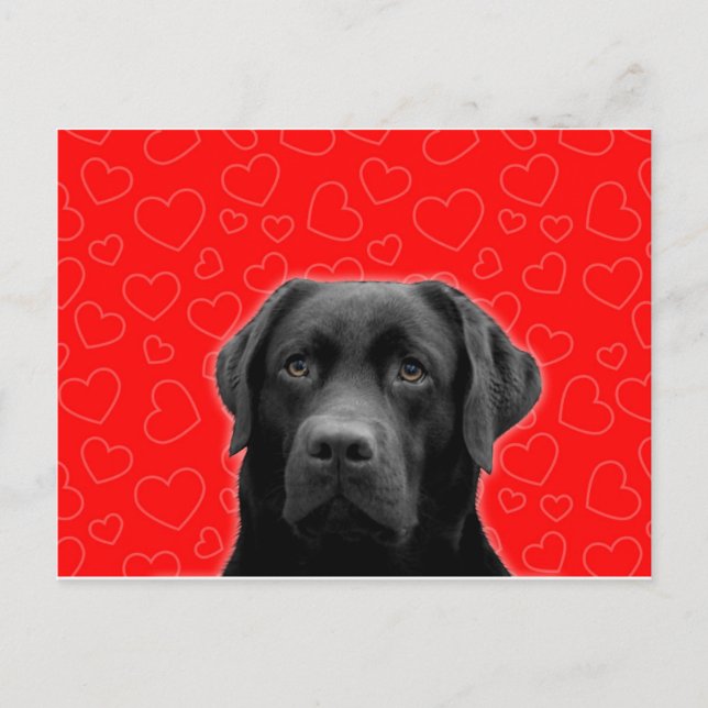 Postal Labrador negro con corazones rojos (Anverso)
