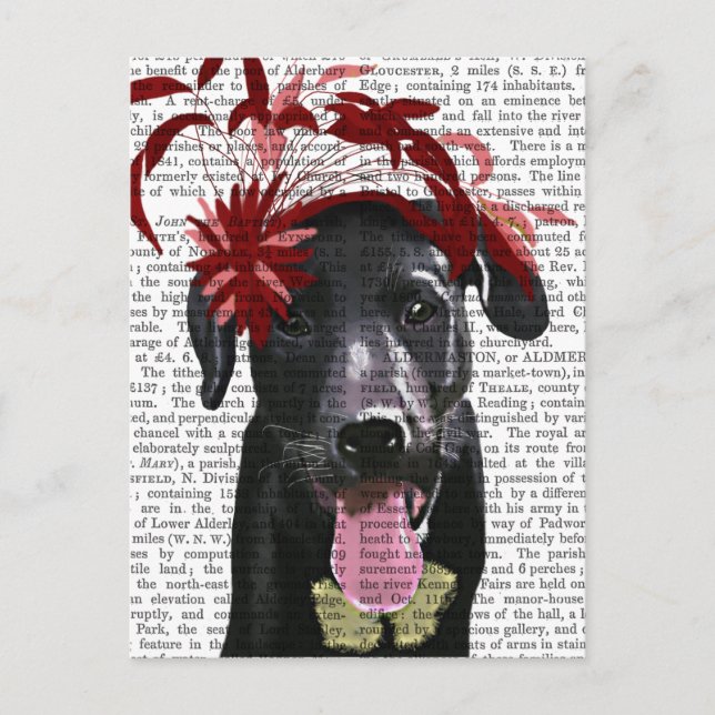 Postal Labrador Negro Con Fascinador Rojo (Anverso)