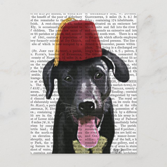 Postal Labrador negro con fez (Anverso)