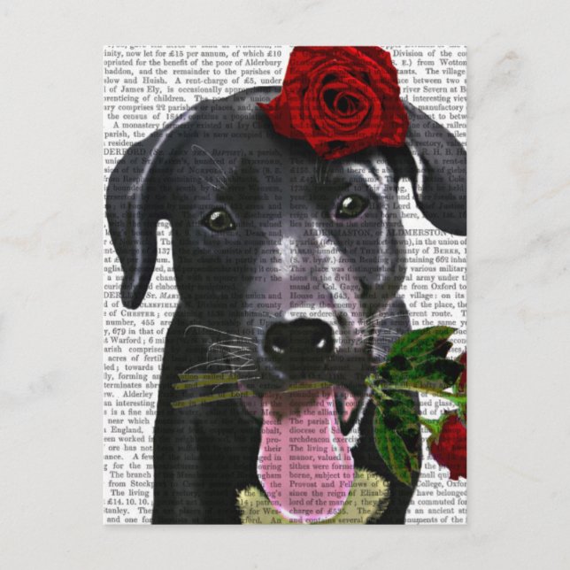 Postal Labrador negro con Rosas (Anverso)