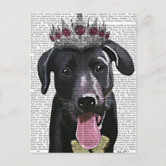 Postal Labrador negro con tiara (Anverso)