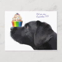 Labrador Negro - ¿Dijiste Cupcakes - Amante de los