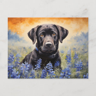Postal Labrador negro en Bluebonnets