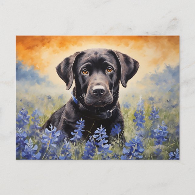 Postal Labrador negro en Bluebonnets (Anverso)