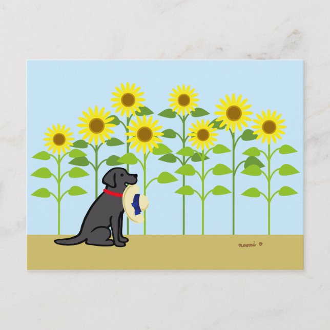 Postal Labrador negro y verano de girasoles (Anverso)