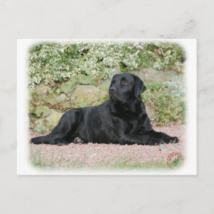 Postal Labrador Recuperador 9Y262D-047