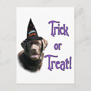 Postal Labrador Recuperador (chocolate) Trick