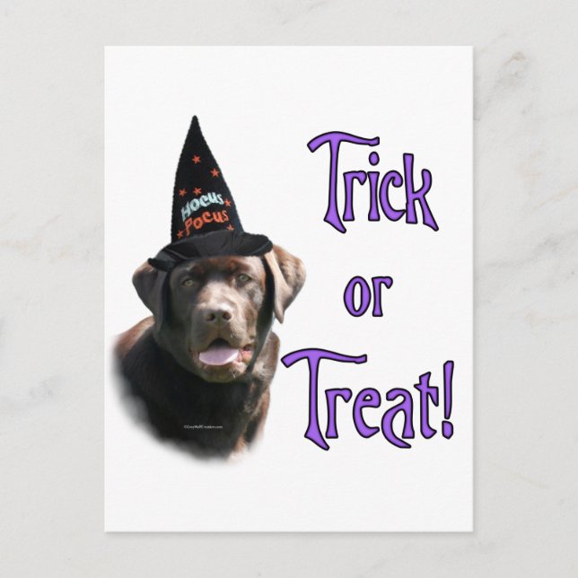 Postal Labrador Recuperador (chocolate) Trick (Anverso)