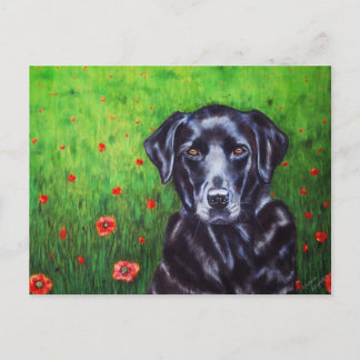 Postal Labrador Recuperador Perro Arte - Adormidera