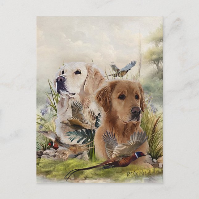 Postal Labrador recuperadores con faisán, arte (Anverso)