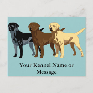 Postal Labrador Recuperar colores