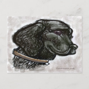 Postal Labrador Retriever