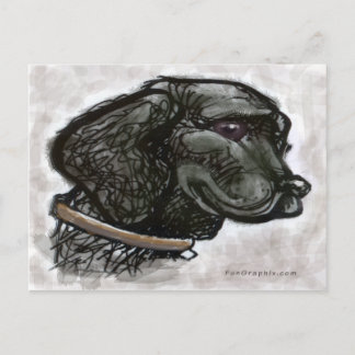 Postal Labrador Retriever