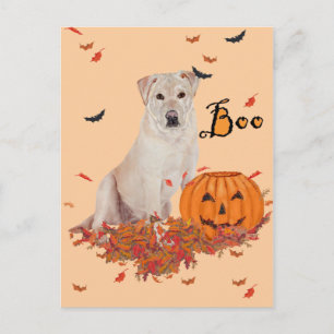 Postal Labrador Retriever Amarillo de Halloween