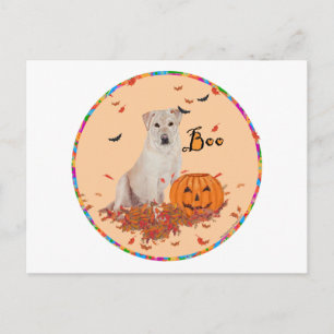 Postal Labrador Retriever Amarillo de Halloween