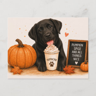 Postal Labrador Retriever Negro Especias de Calabaza Acog