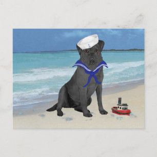 Postal Labrador Retriever Negro Marinero