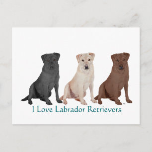 Postal Labrador Retriever Negro Marinero Post - Personali