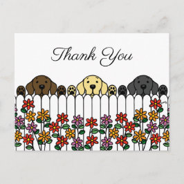 Postal Labrador Trio Mirándote Gracias Postcard