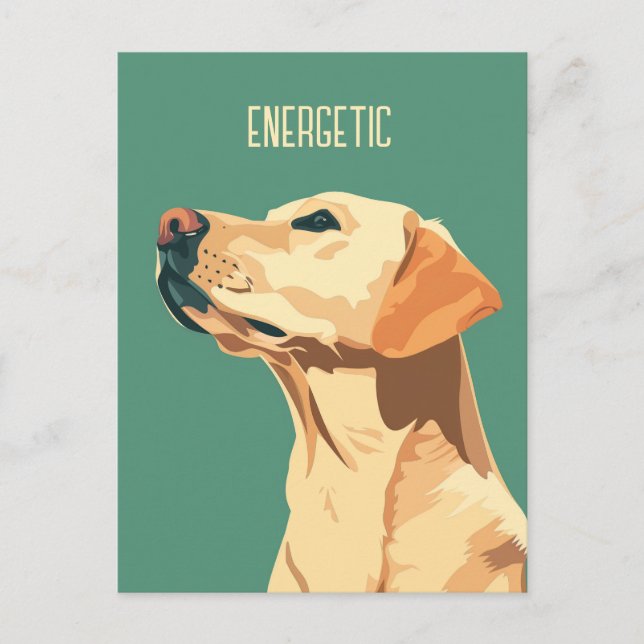 Postal Labrador verde recuperador (Anverso)