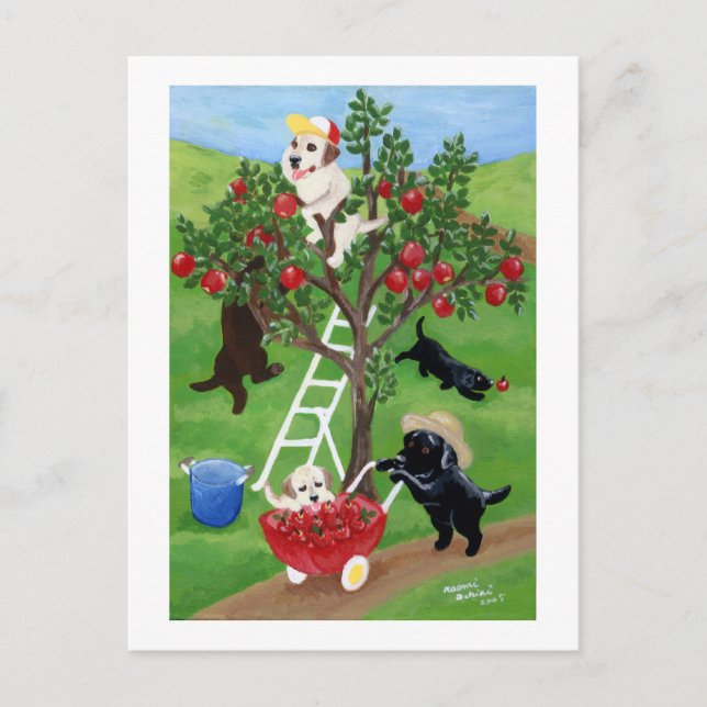 Postal Labradores de manzanas (Anverso)